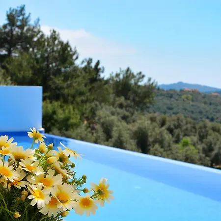 Villa Ask